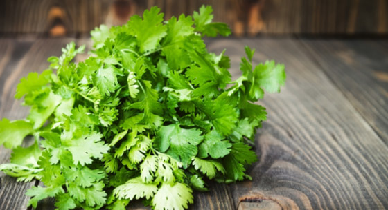 كلمة السر في الكزبرة.. لمن يعانون من احتباس السوائل بالجسم والوزن الزائد صورة رقم 4