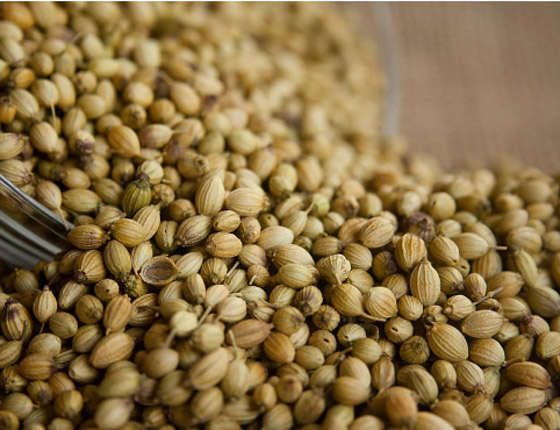 كلمة السر في الكزبرة.. لمن يعانون من احتباس السوائل بالجسم والوزن الزائد صورة رقم 5