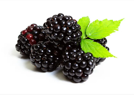 بخلاف الماء.. 6 مشروبات مرطبة يمكن تناولها بعد التمارين صورة رقم 6