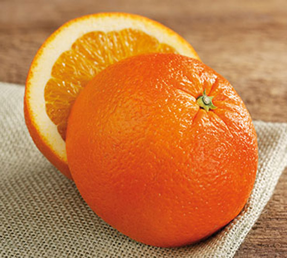  ���� ��� 6 - ����� ����� ��10 ����� ����� ����� ��� ��� �� 100 ���� ������