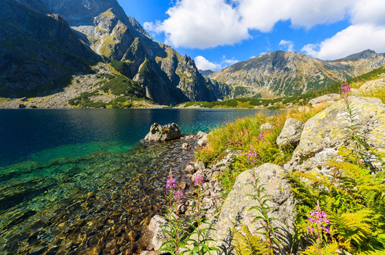 10 نشاطات سياحية ممتعة وجديرة بالتجربة عند زيارة بولندا صورة رقم 4