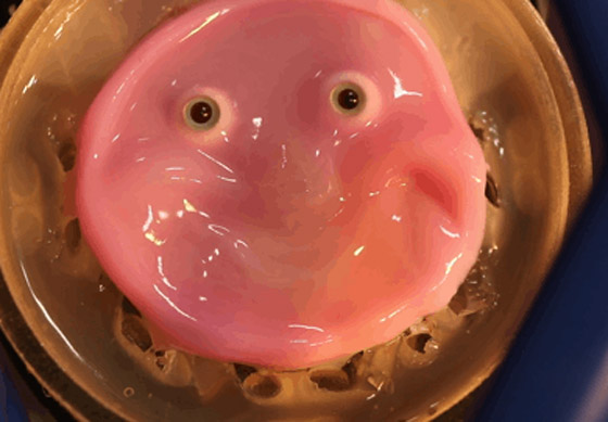 فيديو: ابتكار روبوت يمكنه أن يبتسم مثل الإنسان صورة رقم 1 فيديو: ابتكار روبوت يمكنه أن يبتسم مثل الإنسان صورة رقم 1