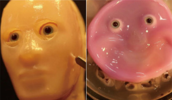 فيديو: ابتكار روبوت يمكنه أن يبتسم مثل الإنسان صورة رقم 5 فيديو: ابتكار روبوت يمكنه أن يبتسم مثل الإنسان صورة رقم 5