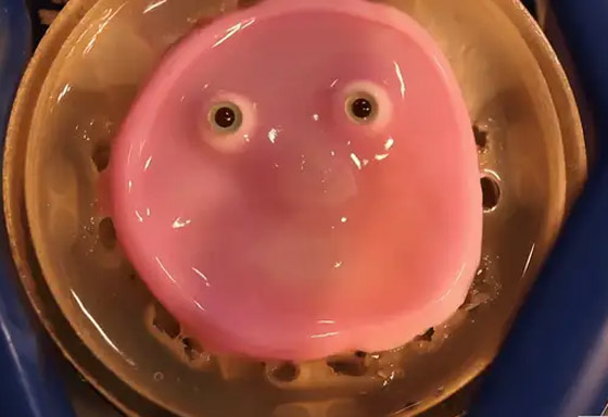 فيديو: ابتكار روبوت يمكنه أن يبتسم مثل الإنسان صورة رقم 3 فيديو: ابتكار روبوت يمكنه أن يبتسم مثل الإنسان صورة رقم 3