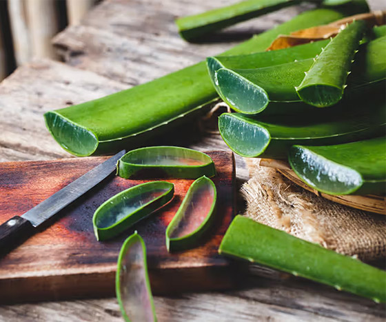 احذروا الألوفيرا.. رغم فوائدها لا تناسب الجميع! صورة رقم 4