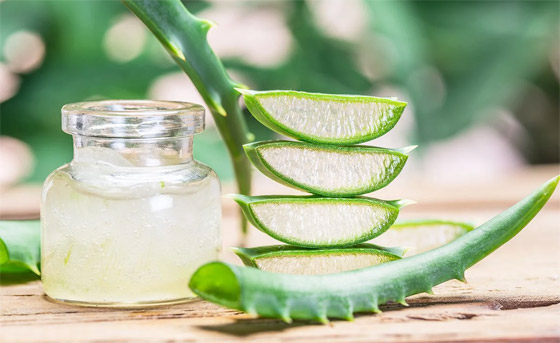 احذروا الألوفيرا.. رغم فوائدها لا تناسب الجميع! صورة رقم 5