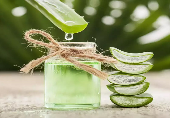 احذروا الألوفيرا.. رغم فوائدها لا تناسب الجميع! صورة رقم 6