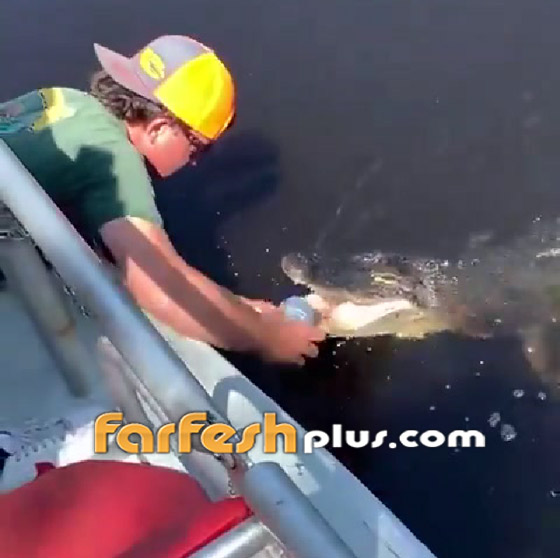 فيديو طريف: رجل يستخدم تمساحا لفتح علبة مشروب صورة رقم 2