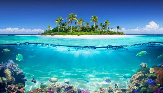 بالصور: جزر سياحية في سيشل تدعو للاسترخاء وسط الطبيعة الخلابة صورة رقم 1 بالصور: جزر سياحية في سيشل تدعو للاسترخاء وسط الطبيعة الخلابة صورة رقم 1