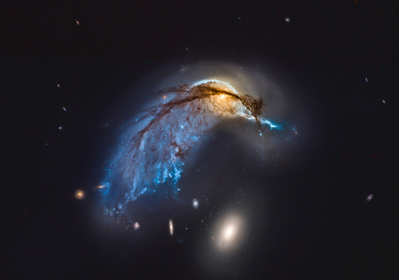 على شكل على شكل