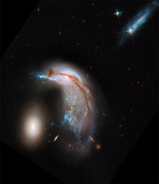 على شكل على شكل