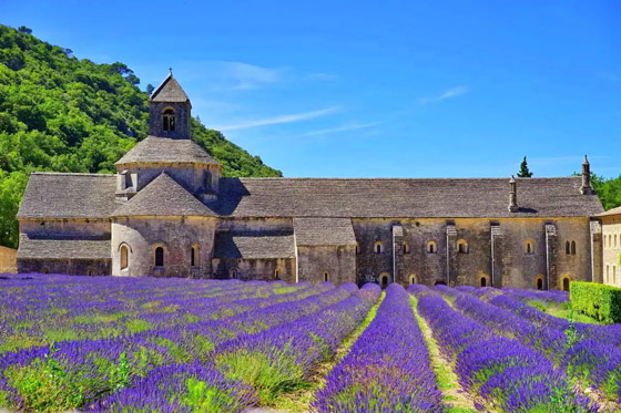 8 عناوين سياحية لا بد من زيارتها في بروفانس الفرنسية.. تعرفوا إليها بالصور صورة رقم 3