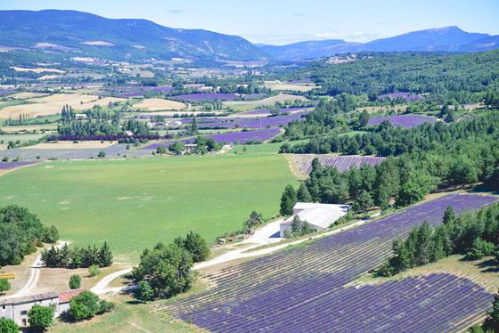 8 عناوين سياحية لا بد من زيارتها في بروفانس الفرنسية.. تعرفوا إليها بالصور صورة رقم 7