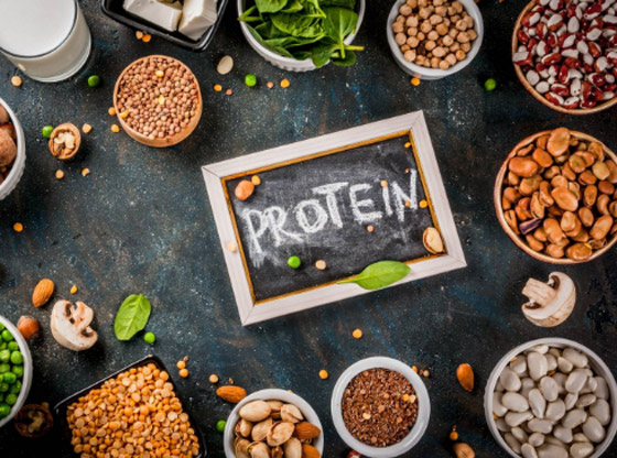 لماذا يجب زيادة تناول البروتين مع التقدم فى العمر؟ صورة رقم 7