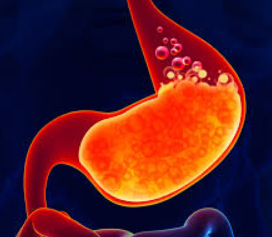 5 أطعمة توفر راحة فورية من الحموضة وحرقة المعدة صورة رقم 6