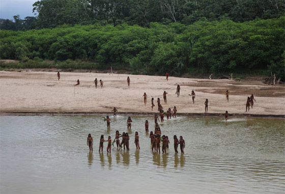 خرجوا بحثا عن الطعام.. ظهور نادر لقبيلة منعزلة عن العالم (فيديو وصور) صورة رقم 2