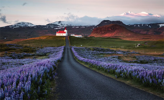 دولة عربية ضمنها.. إليكم أقوى جوازات السفر في العالم لعام 2024 صورة رقم 7