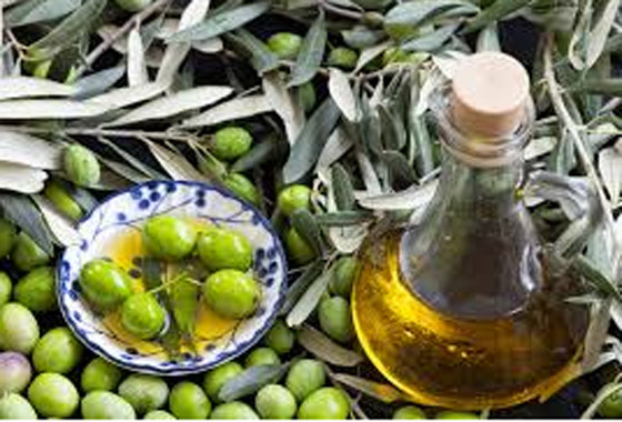 مركب طبيعي من الزيتون ينقص الوزن وينظم سكر الدم صورة رقم 6