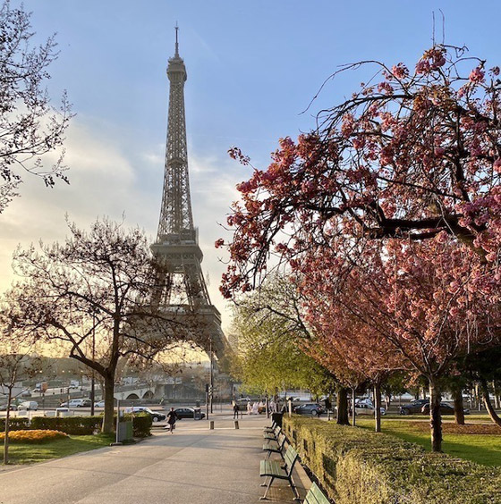 نصائح أساسية عند السفر الفردي إلى العاصمة الفرنسية باريس صورة رقم 6 نصائح أساسية عند السفر الفردي إلى العاصمة الفرنسية باريس صورة رقم 6