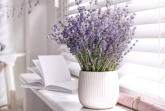  ���� ��� 4 - ����� ������ �����.. ����� ��� �����