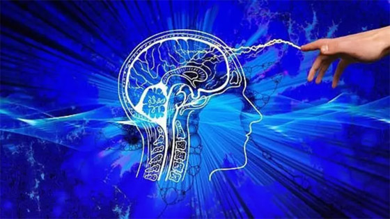 اختراق علمي كان ضربا من الخيال.. تقنية للتحكم بعقل الإنسان عن بعد! صورة رقم 1 اختراق علمي كان ضربا من الخيال.. تقنية للتحكم بعقل الإنسان عن بعد! صورة رقم 1