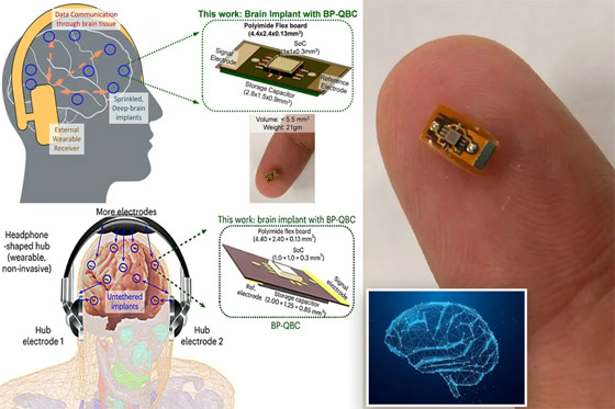 اختراق علمي كان ضربا من الخيال.. تقنية للتحكم بعقل الإنسان عن بعد! صورة رقم 3 اختراق علمي كان ضربا من الخيال.. تقنية للتحكم بعقل الإنسان عن بعد! صورة رقم 3