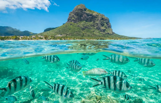 10 أنشطة سياحية ممتعة ينبغي تجربتها في جزيرة موريشيوس.. صور صورة رقم 7