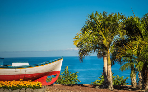 كل ما تحتاج معرفته لقضاء عطلة استثنائية في جزر الكناري (صور) صورة رقم 3