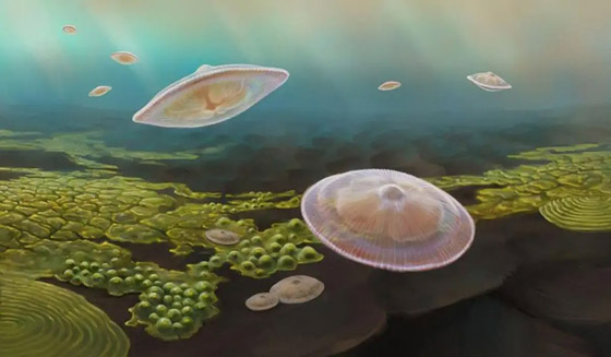 متى بدأت الحياة على سطح الأرض؟ صورة رقم 1 متى بدأت الحياة على سطح الأرض؟ صورة رقم 1