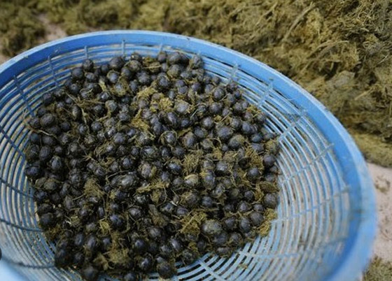 أغرب الأعمال الفنية التي صُنعت من أشياء لن تتوقعها! صورة رقم 6 أغرب الأعمال الفنية التي صُنعت من أشياء لن تتوقعها! صورة رقم 6