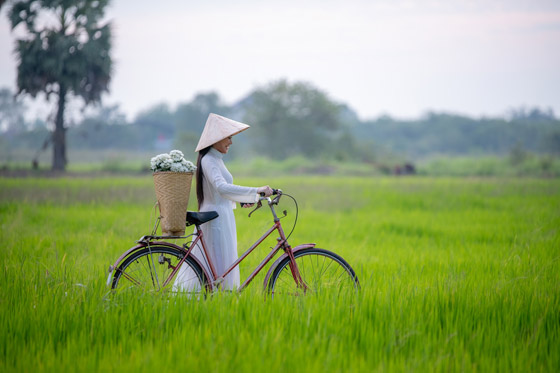 رحلة سياحية عائلية إلى فيتنام الغنية بالحدائق الوطنية الخلابة (صور) صورة رقم 4