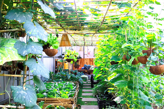 رحلة سياحية عائلية إلى فيتنام الغنية بالحدائق الوطنية الخلابة (صور) صورة رقم 6