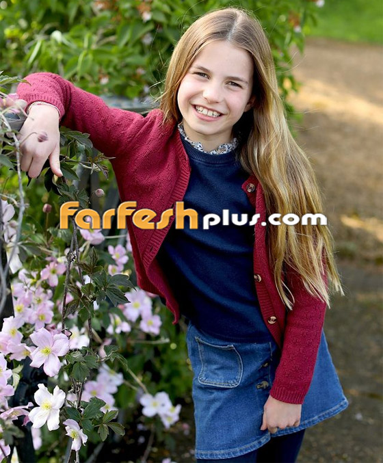 الأطفال في العائلات المالكة حول العالم.. من منهم سيحكم بلاده؟ صورة رقم 2