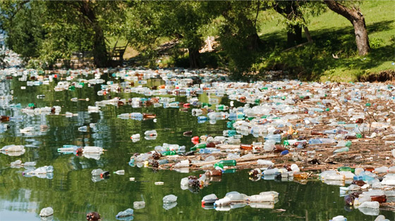 فطريات تأكل البلاستيك.. بارقة أمل لتقليص التلوث في العالم صورة رقم 5