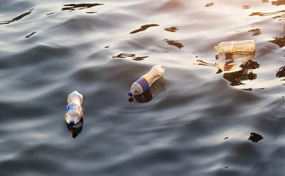 فطريات تأكل البلاستيك.. بارقة أمل لتقليص التلوث في العالم صورة رقم 6