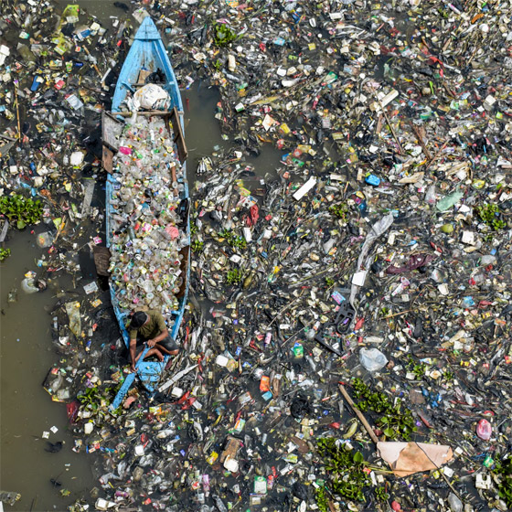 فطريات تأكل البلاستيك.. بارقة أمل لتقليص التلوث في العالم صورة رقم 7