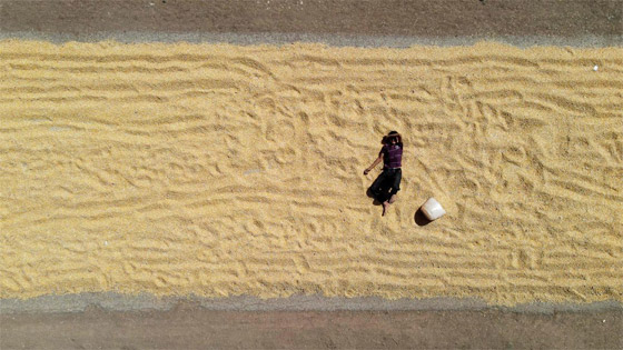 كيف يتسبب غياب 