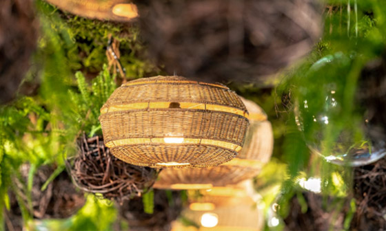  ���� ��� 2 - �������� ���� ������ ���� ������ �� ���� ������� ��� 2024