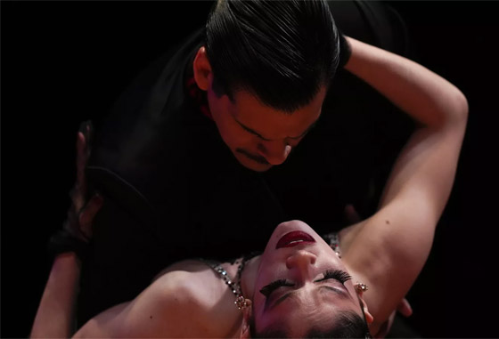 صور مدهشة: دموع في نهائيات بطولة العالم للتانغو في الأرجنتين صورة رقم 3 صور مدهشة: دموع في نهائيات بطولة العالم للتانغو في الأرجنتين صورة رقم 3