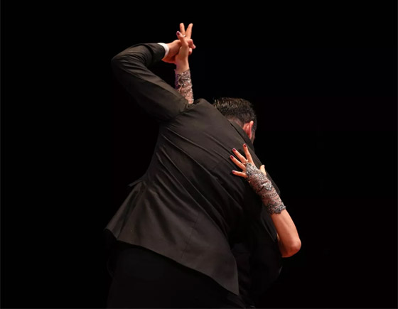 صور مدهشة: دموع في نهائيات بطولة العالم للتانغو في الأرجنتين صورة رقم 8 صور مدهشة: دموع في نهائيات بطولة العالم للتانغو في الأرجنتين صورة رقم 8