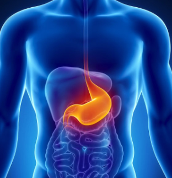 هل تعانى من اضطراب المعدة؟ 6 أسباب وراء هذه المشكلة وطرق العلاج صورة رقم 3