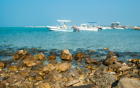 اكتشفوا الكنوز السياحية المخبأة في مملكة البحرين لؤلؤة الخليج (صور) صورة رقم 8