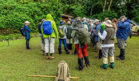 800 دولار بالساعة.. ما سبب الكلفة المرتفعة لهذه التجربة السياحية في أوغندا؟ صورة رقم 8