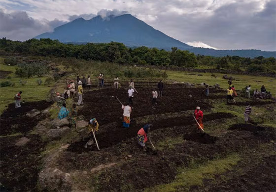 800 دولار بالساعة.. ما سبب الكلفة المرتفعة لهذه التجربة السياحية في أوغندا؟ صورة رقم 4