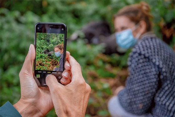 800 دولار بالساعة.. ما سبب الكلفة المرتفعة لهذه التجربة السياحية في أوغندا؟ صورة رقم 7
