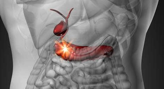  ���� ��� 1 - ����� ������ ��� ��� �������