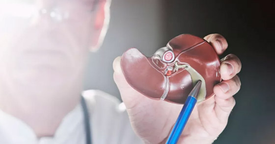  ���� ��� 2 - ����� ������ ��� ��� �������