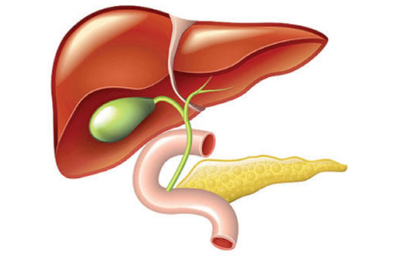  ���� ��� 4 - ����� ������ ��� ��� �������