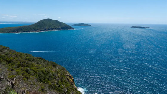 خطة لتعبئة المحيط الهادي بالحديد.. بهدف إنقاذ البشرية! صورة رقم 2 خطة لتعبئة المحيط الهادي بالحديد.. بهدف إنقاذ البشرية! صورة رقم 2