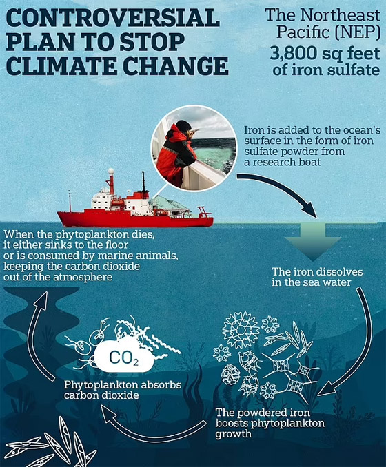خطة لتعبئة المحيط الهادي بالحديد.. بهدف إنقاذ البشرية! صورة رقم 1 خطة لتعبئة المحيط الهادي بالحديد.. بهدف إنقاذ البشرية! صورة رقم 1